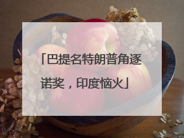 巴提名特朗普角逐诺奖，印度恼火