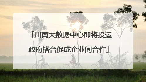 川南大数据中心即将投运 政府搭台促成企业间合作
