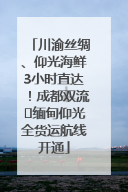 川渝丝绸、仰光海鲜3小时直达！成都双流⇌缅甸仰光全货运航线开通