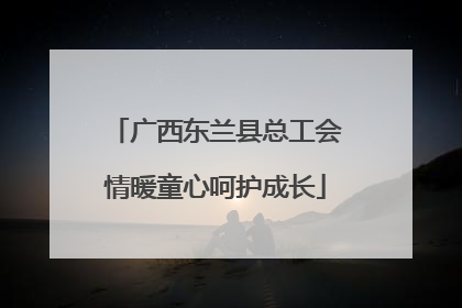 广西东兰县总工会情暖童心呵护成长