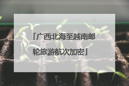广西北海至越南邮轮旅游航次加密