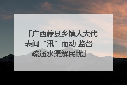广西藤县乡镇人大代表闻“汛”而动 监督疏通水渠解民忧