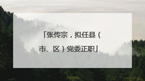张传宗，拟任县（市、区）党委正职