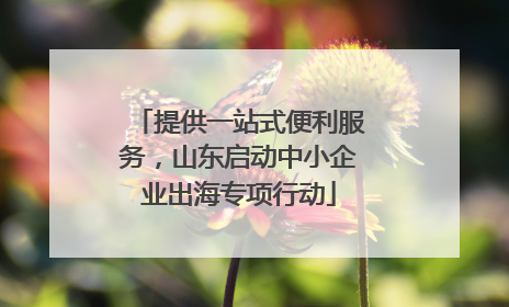 提供一站式便利服务，山东启动中小企业出海专项行动