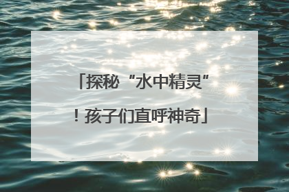 探秘“水中精灵”！孩子们直呼神奇