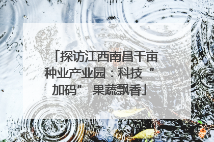 探访江西南昌千亩种业产业园：科技“加码” 果蔬飘香