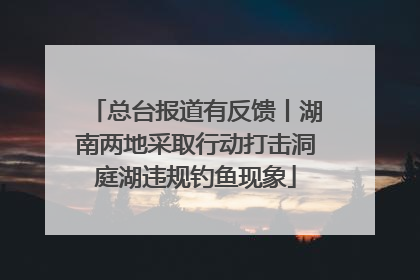 总台报道有反馈丨湖南两地采取行动打击洞庭湖违规钓鱼现象