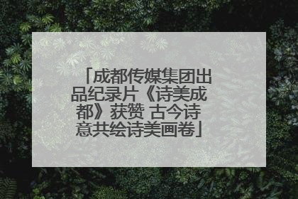 成都传媒集团出品纪录片《诗美成都》获赞 古今诗意共绘诗美画卷