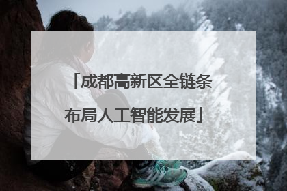 成都高新区全链条布局人工智能发展
