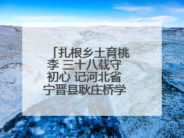 扎根乡土育桃李 三十八载守初心 记河北省宁晋县耿庄桥学区教师张志涛