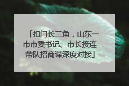 扣门长三角，山东一市市委书记、市长接连带队招商谋深度对接