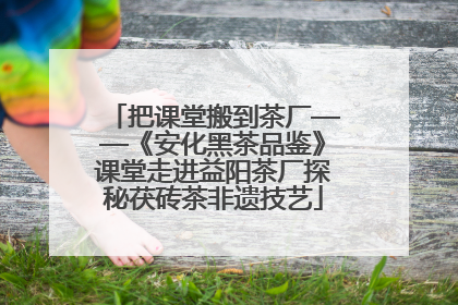 把课堂搬到茶厂——《安化黑茶品鉴》课堂走进益阳茶厂探秘茯砖茶非遗技艺