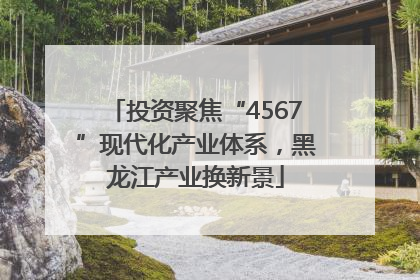 投资聚焦“4567”现代化产业体系，黑龙江产业换新景