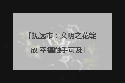 抚远市：文明之花绽放 幸福触手可及