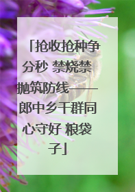 抢收抢种争分秒 禁烧禁抛筑防线——郎中乡干群同心守好 粮袋子