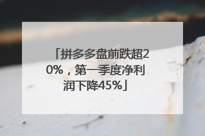 拼多多盘前跌超20%，第一季度净利润下降45%