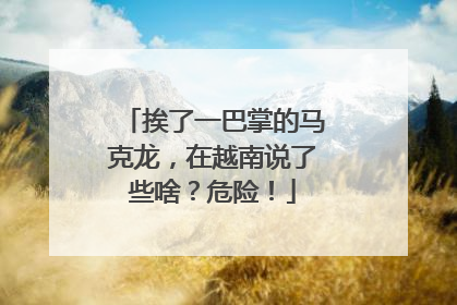 挨了一巴掌的马克龙，在越南说了些啥？危险！