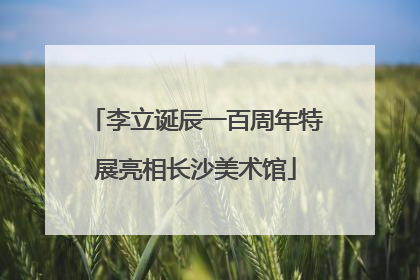 李立诞辰一百周年特展亮相长沙美术馆