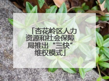 杏花岭区人力资源和社会保障局推出“三快”维权模式