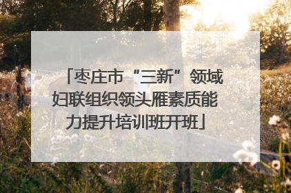 枣庄市“三新”领域妇联组织领头雁素质能力提升培训班开班