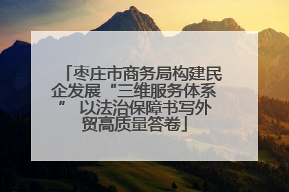 枣庄市商务局构建民企发展“三维服务体系” 以法治保障书写外贸高质量答卷
