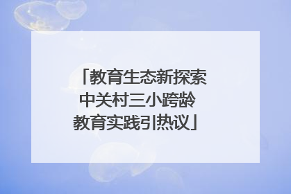 教育生态新探索 中关村三小跨龄教育实践引热议