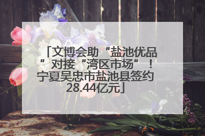 文博会助“盐池优品”对接“湾区市场”！宁夏吴忠市盐池县签约28.44亿元