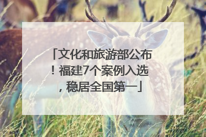 文化和旅游部公布！福建7个案例入选，稳居全国第一