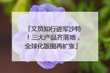 文员知行进军沙特！三大产品齐落地，全球化版图再扩张