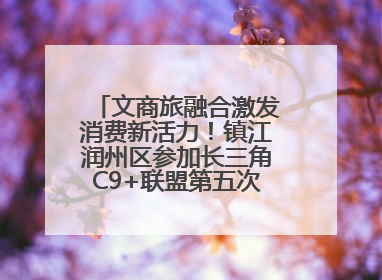 文商旅融合激发消费新活力！镇江润州区参加长三角C9+联盟第五次联席会议