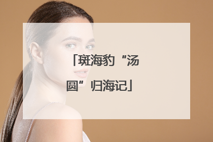 斑海豹“汤圆”归海记