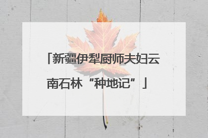 新疆伊犁厨师夫妇云南石林“种地记”