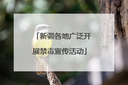 新疆各地广泛开展禁毒宣传活动