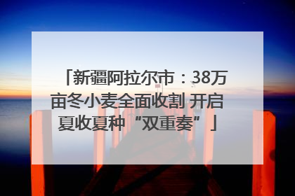 新疆阿拉尔市：38万亩冬小麦全面收割 开启夏收夏种“双重奏”