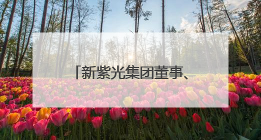 新紫光集团董事、联席总裁陈杰：我国有移动互联网时代的成功经验，最有能力做好AI应用创新