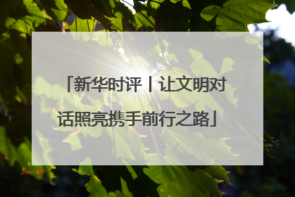 新华时评丨让文明对话照亮携手前行之路