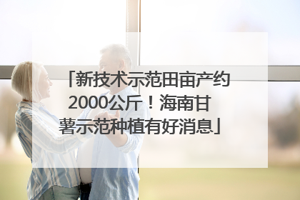 新技术示范田亩产约2000公斤！海南甘薯示范种植有好消息