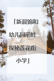 新晨锦和幼儿园萌娃探秘莲花街小学