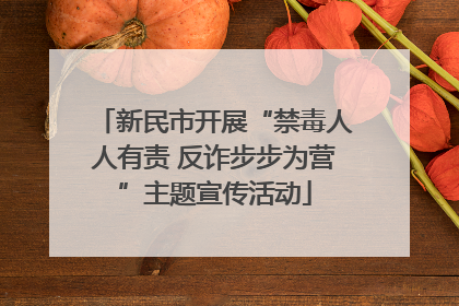 新民市开展“禁毒人人有责 反诈步步为营”主题宣传活动
