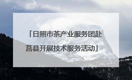 日照市茶产业服务团赴莒县开展技术服务活动