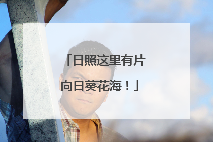 日照这里有片向日葵花海！
