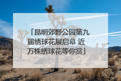 昆明郊野公园第九届绣球花展启幕 近万株绣球花等你赏