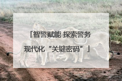 智警赋能 探索警务现代化“关键密码”