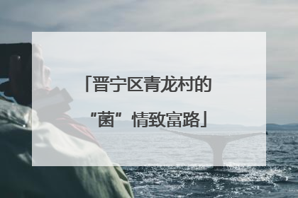 晋宁区青龙村的“菌”情致富路