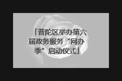 普陀区举办第六届政务服务“网办季”启动仪式