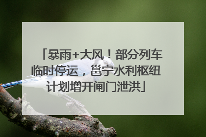 暴雨+大风！部分列车临时停运，邕宁水利枢纽计划增开闸门泄洪