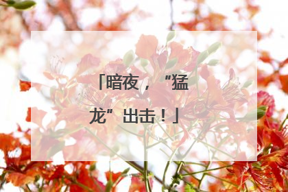 暗夜，“猛龙”出击！