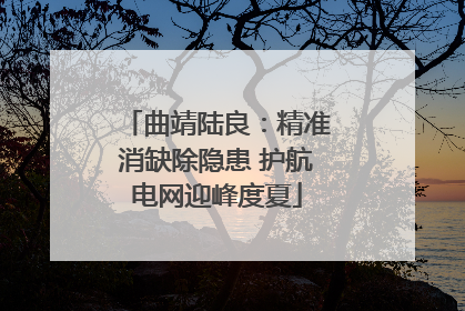 曲靖陆良：精准消缺除隐患 护航电网迎峰度夏