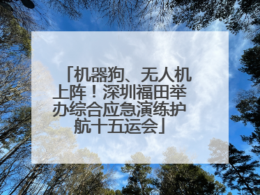 机器狗、无人机上阵！深圳福田举办综合应急演练护航十五运会