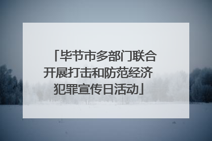 毕节市多部门联合开展打击和防范经济犯罪宣传日活动